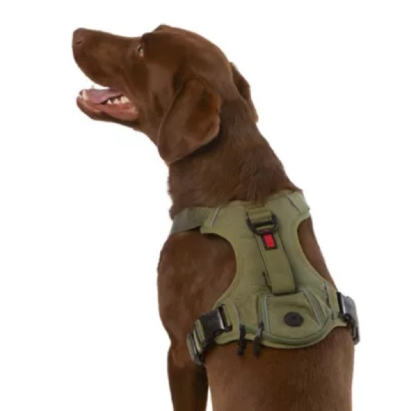 KONG Tan Dog Harness One Small and One Medium - Picture 4 of 14